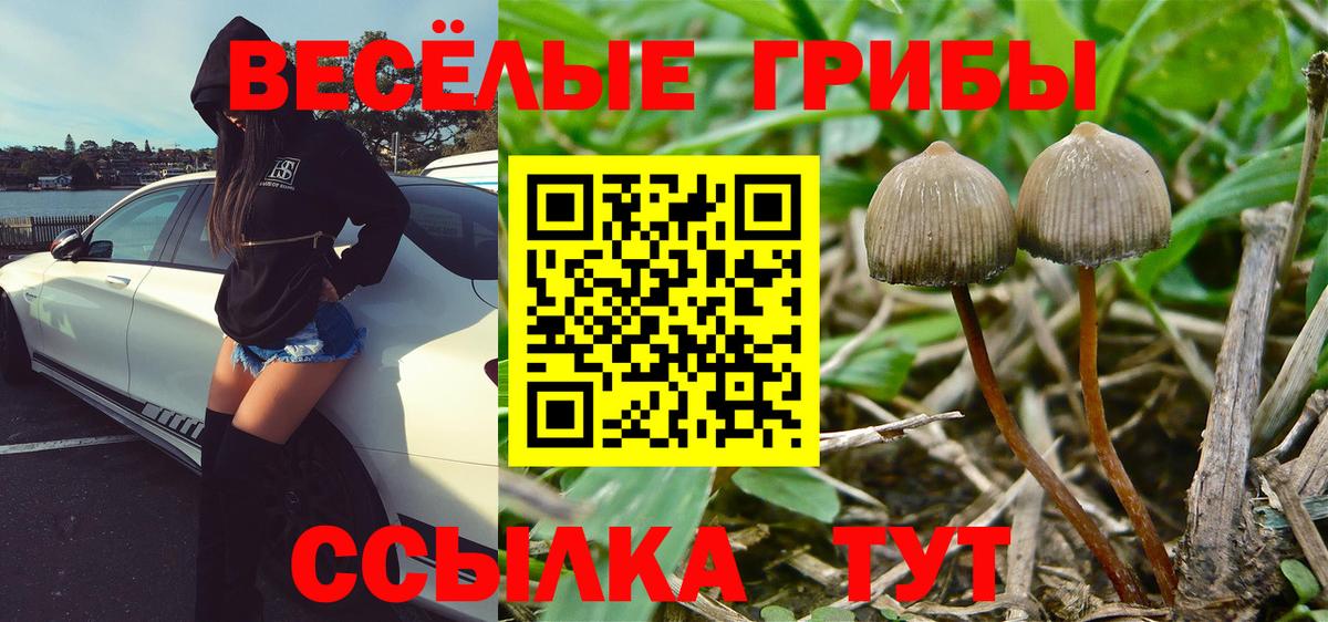 Псилоцибиновые грибы прущие грибы  Вход с VPN  Ревда 